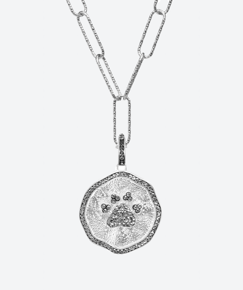 PAWsitive Medallion Charm Necklace